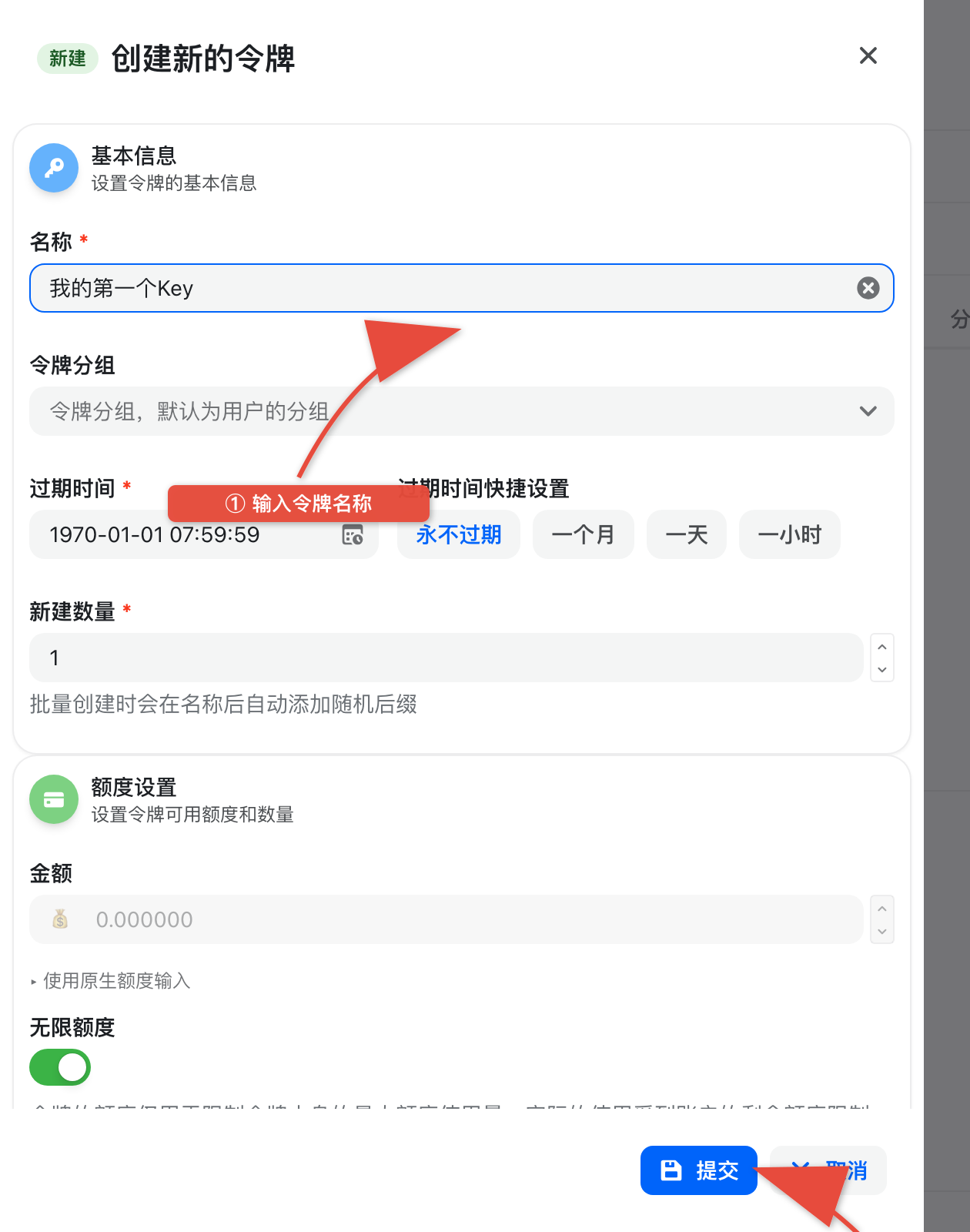 填写令牌信息并提交